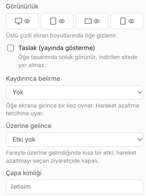 Ayarlar sekmesi: kırılım başına görünürlük, taslak, kaydırınca belirme, üzerine gelince, çapa kimliği