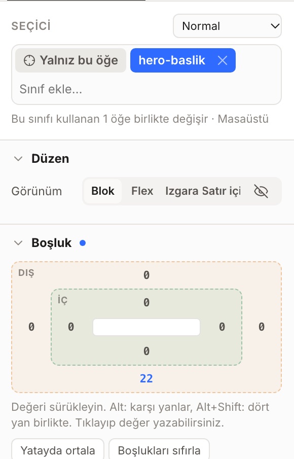 Stil panelinde seçici: Yalnız bu öğe ve hero-baslik sınıfı