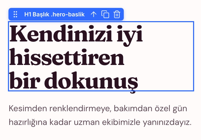 Tuvalde seçili H1 başlık ve öğe araç çubuğu