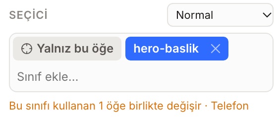Stil paneli: bu değişiklik yalnız Telefon kırılımına yazılır
