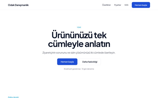 Tek sayfa kampanya şablonuyla kurulmuş sitenin ana sayfası